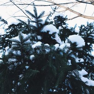 Meet your Posher, Maddy